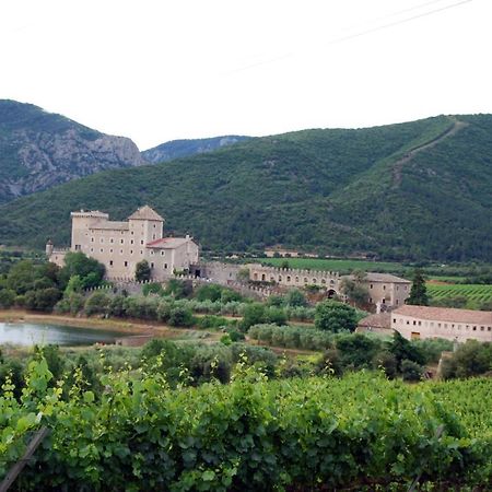 Apartament Castell De Riudabella Vimbodi I Poblet Zewnętrze zdjęcie