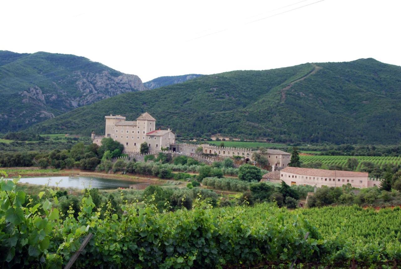 Apartament Castell De Riudabella Vimbodi I Poblet Zewnętrze zdjęcie