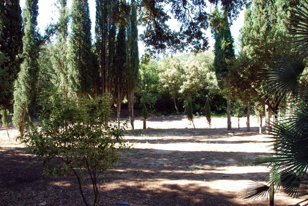 Apartament Castell De Riudabella Vimbodi I Poblet Zewnętrze zdjęcie