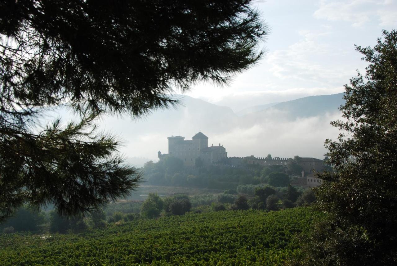 Apartament Castell De Riudabella Vimbodi I Poblet Zewnętrze zdjęcie