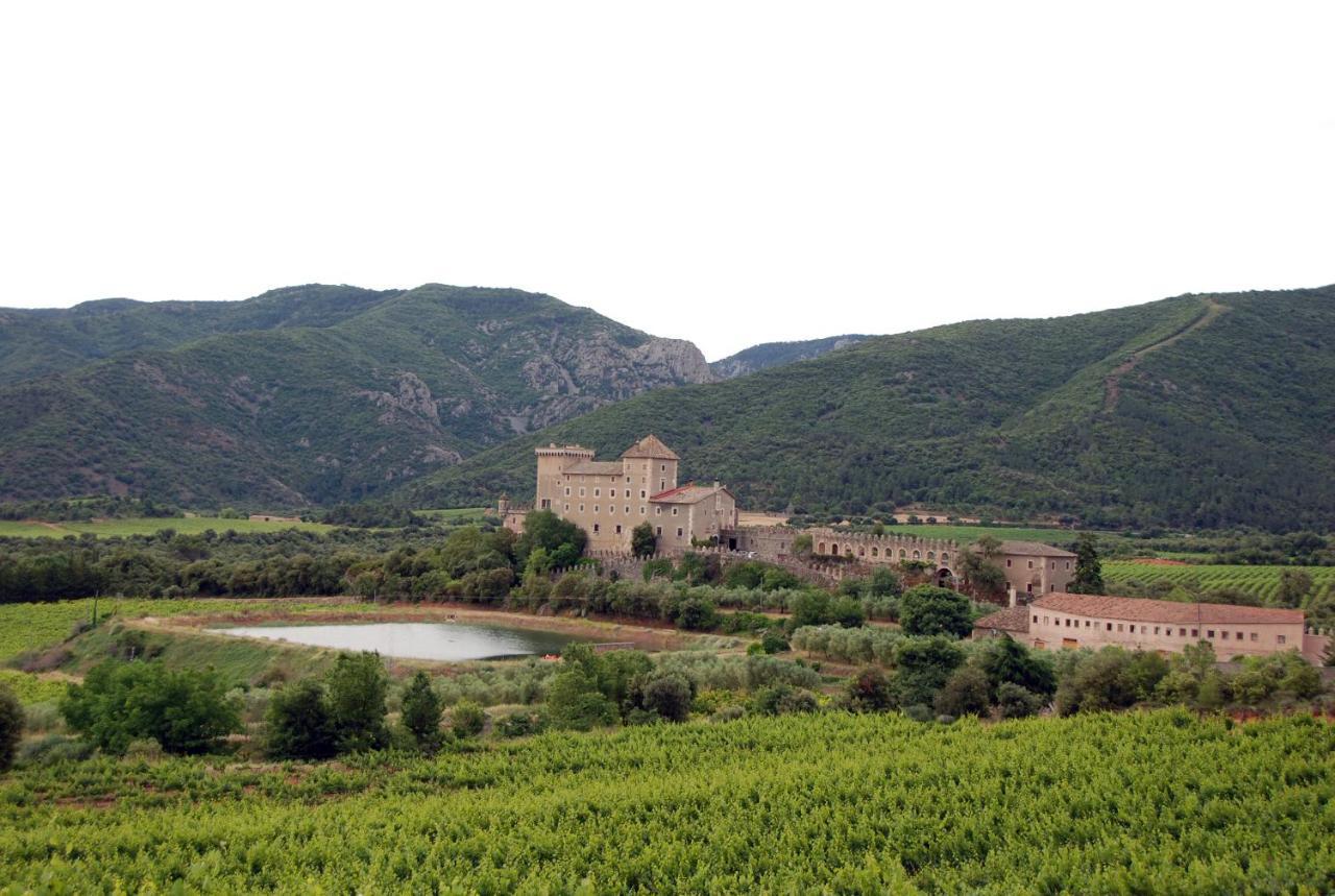Apartament Castell De Riudabella Vimbodi I Poblet Zewnętrze zdjęcie