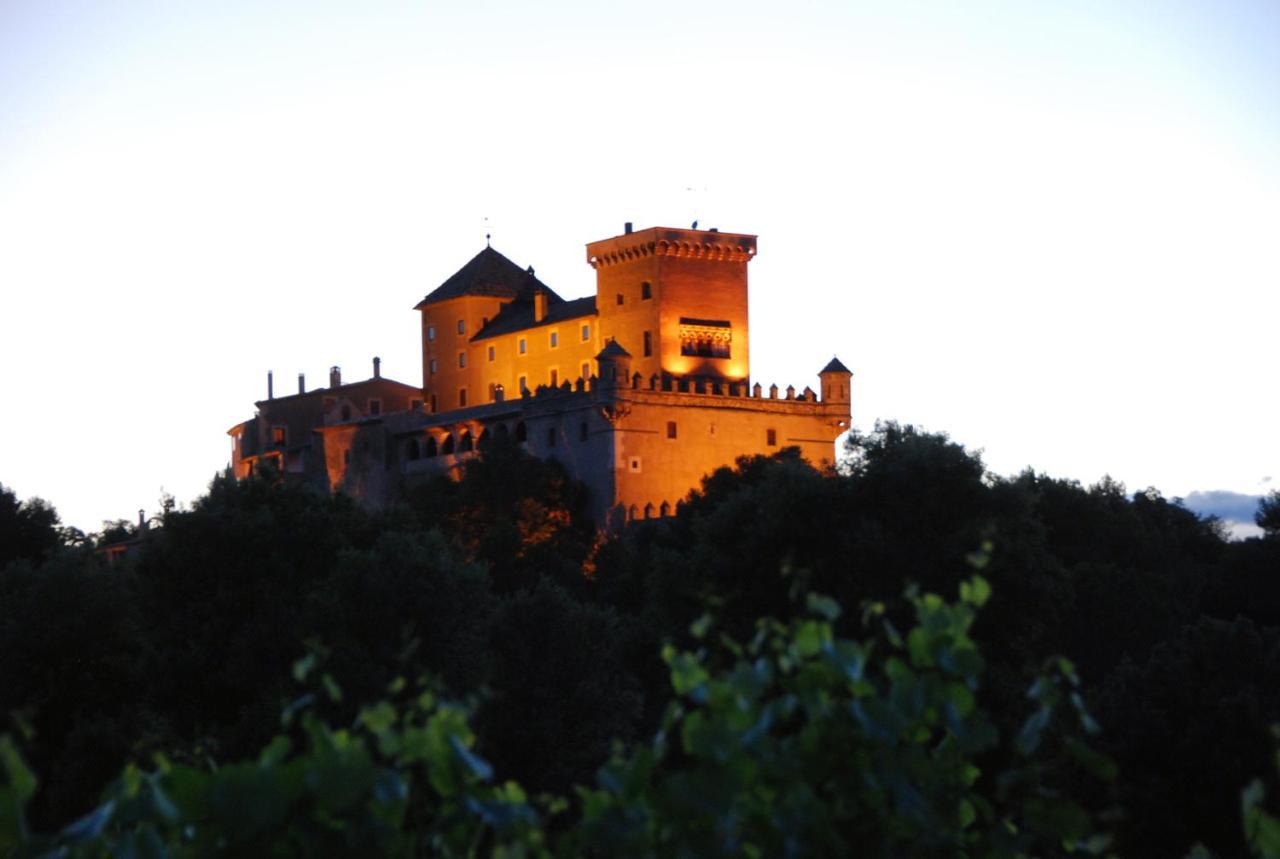 Apartament Castell De Riudabella Vimbodi I Poblet Zewnętrze zdjęcie