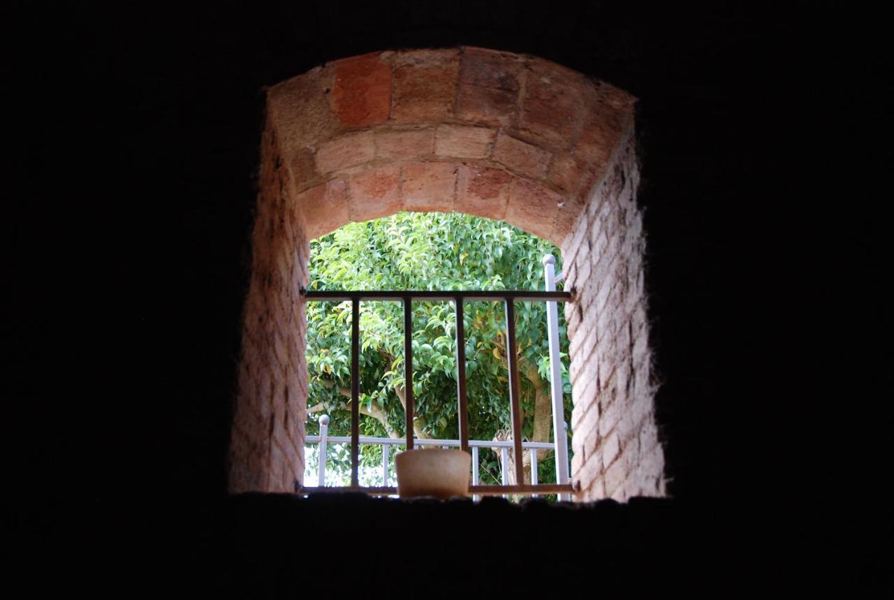 Apartament Castell De Riudabella Vimbodi I Poblet Zewnętrze zdjęcie