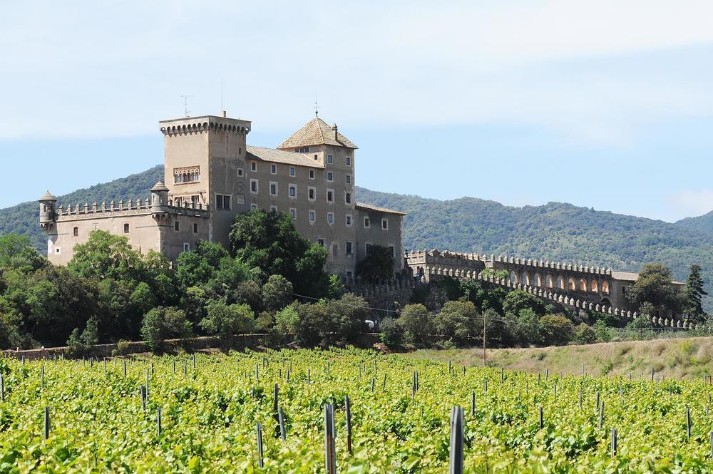 Apartament Castell De Riudabella Vimbodi I Poblet Zewnętrze zdjęcie