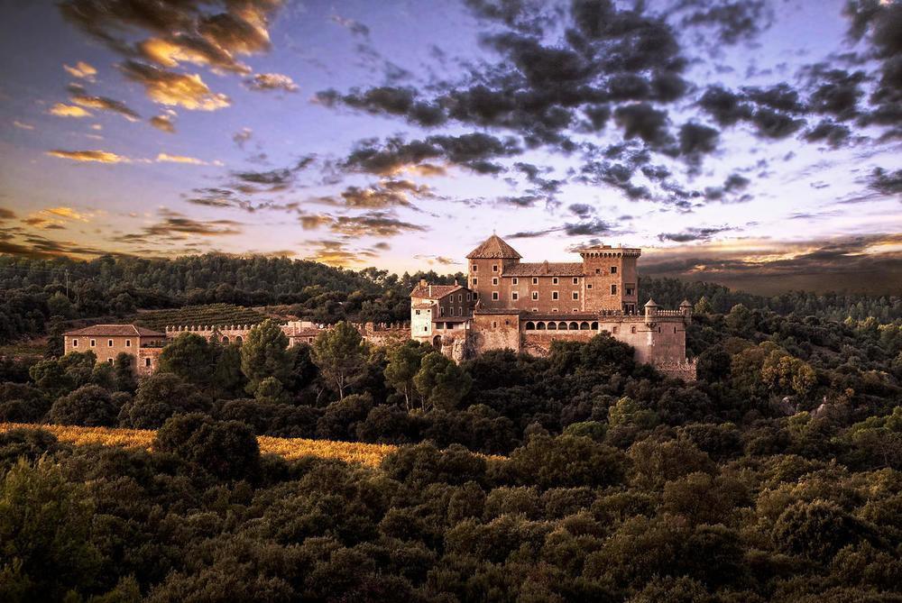 Apartament Castell De Riudabella Vimbodi I Poblet Zewnętrze zdjęcie